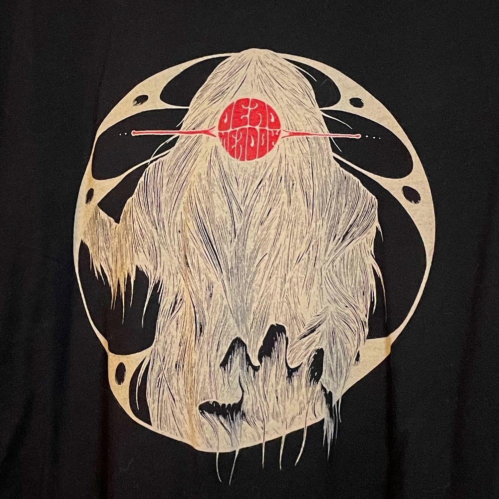 Next Level Apparel black Dead Meadow graphic band tee unisex sz L psychedelic
